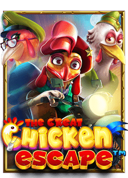 รู้จักและทดลอง เล่น ไฮโล การ์ด กับเพื่อนๆ ได้ง่ายๆ